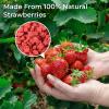 7oz Freeze Dried Strawberries Pieces - Lightly Sweetened Strawberry with Sugar, Crunchy Freeze Dried Fruit for Baking, Yogurt, Cereal, Smoothies & Dessert Toppings(200g) view 2