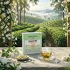 Goodwyn Jasmine Green Tea (30 Tea Bags) | Premium Green Tea with Real Jasmine Blossoms | 100% Natural | Plastic Free Tea Bags | Low Caffeine Non Bitter | Fragrant & Floral | Perfect Hot or Iced | Delicate Scented Tea for Daily Enjoyment view 3