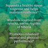 kokora Extra Strength Rhodiola Rosea Stress Relief, Endurance & Promotes Mental & Physical Performance* - with Siberian Rhodiola, Rosavins, Organic Holy Basil - Vegan, Non-GMO - 60 Capsules view 3