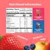 Bob Snail Fruit Roll Ups 42oz Strawberry & Blueberry Flavor Mix, Real Fruit Snacks with No Added Sugar, Vegan & Gluten-Free, Value Pack of 120 Rolls (1200g) view 2