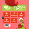 Bob Snail Fruit Roll Ups 42oz Strawberry & Blueberry Flavor Mix, Real Fruit Snacks with No Added Sugar, Vegan & Gluten-Free, Value Pack of 120 Rolls (1200g) view 3