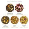 Tea Forte Gift Set with Cafe Cup, Tea Tray, Petite Presentation Box with 10 Handcrafted Pyramid Infuser Tea Bags, Jardin view 2