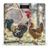 Rooster and Hen Scale for Body Weight Highly Accurate Digital Bathroom Body Scale Digital Bathroom Scales for People Anti-Slip Large LCD Display Smart Scales view 1