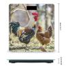 Rooster and Hen Scale for Body Weight Highly Accurate Digital Bathroom Body Scale Digital Bathroom Scales for People Anti-Slip Large LCD Display Smart Scales view 2