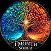 1 Week Sober Sobriety Coin Recovery Milestone Token with Tree of Life Design, Double Sided Inspirational Challenge Coin (1 Month) view 1
