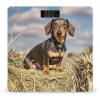 Dachshund Dog Scale for Body Weight Highly Accurate Digital Bathroom Body Scale Digital Bathroom Scales for People Anti-Slip Large LCD Display Smart Scales view 1
