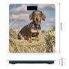 Dachshund Dog Scale for Body Weight Highly Accurate Digital Bathroom Body Scale Digital Bathroom Scales for People Anti-Slip Large LCD Display Smart Scales view 2