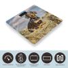Dachshund Dog Scale for Body Weight Highly Accurate Digital Bathroom Body Scale Digital Bathroom Scales for People Anti-Slip Large LCD Display Smart Scales view 3