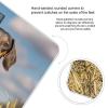 Dachshund Dog Scale for Body Weight Highly Accurate Digital Bathroom Body Scale Digital Bathroom Scales for People Anti-Slip Large LCD Display Smart Scales view 4