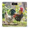 Rooster and Hen Scale for Body Weight Highly Accurate Digital Bathroom Body Scale Digital Bathroom Scales for People Anti-Slip Large LCD Display Smart Scales view 1