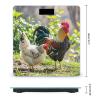 Rooster and Hen Scale for Body Weight Highly Accurate Digital Bathroom Body Scale Digital Bathroom Scales for People Anti-Slip Large LCD Display Smart Scales view 2