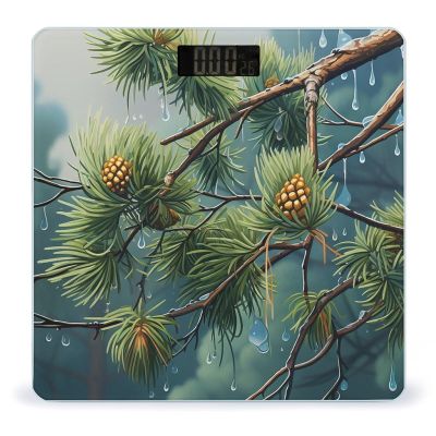 Digital Bathroom Scale Pine Tree Raindropsprinted Accurate Weight Scale,400lb Capacity LCD DisplayvStep-on Technology Tempered Glass