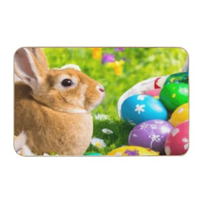 dcetiAAm Flannel Under Sink Mat 35 24 Inch, Easter Gifts No Slip Shower Rug Water Absorbing Shower Decorations for Bathroom Entry Way Rugs Indoor Inside Door Mats
