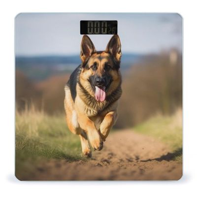 Digital Bathroom Scale Running German Shepherd Dogprinted Accurate Weight Scale,400lb Capacity LCD DisplayvStep-on Technology Tempered Glass