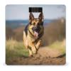 Digital Bathroom Scale Running German Shepherd Dogprinted Accurate Weight Scale,400lb Capacity LCD DisplayvStep-on Technology Tempered Glass view 1