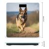 Digital Bathroom Scale Running German Shepherd Dogprinted Accurate Weight Scale,400lb Capacity LCD DisplayvStep-on Technology Tempered Glass view 2