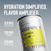 Assembly Hydro Electrolyte Water - Citrus Flow Flavor Refreshing Hydration Drink with Sea Salt, Non-Carbonated Electrolyte Drink for Daily and Active Hydration, 12 fl oz (350 mL) view 2