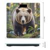 Bear Bathroom Scale for Body Weight Bathroom Weighing Scales with Back Lit LED Display Sturdy Tempered Glass Body Weight Bathroom Scale 400lb Weighing view 2