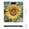 Sunflower Bathroom Scale for Body Weight Bathroom Weighing Scales with Back Lit LED Display Sturdy Tempered Glass Body Weight Bathroom Scale 400lb Weighing view 2