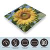 Sunflower Bathroom Scale for Body Weight Bathroom Weighing Scales with Back Lit LED Display Sturdy Tempered Glass Body Weight Bathroom Scale 400lb Weighing view 3