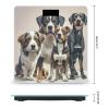 Dogs Bathroom Scale for Body Weight Bathroom Weighing Scales with Back Lit LED Display Sturdy Tempered Glass Body Weight Bathroom Scale 400lb Weighing view 2