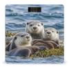 Sea Otter Family Bathroom Scale for Body Weight Bathroom Weighing Scales with Back Lit LED Display Sturdy Tempered Glass Body Weight Bathroom Scale 400lb Weighing view 1