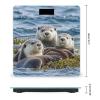 Sea Otter Family Bathroom Scale for Body Weight Bathroom Weighing Scales with Back Lit LED Display Sturdy Tempered Glass Body Weight Bathroom Scale 400lb Weighing view 2