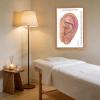 Comprehensive Auriculotherapy Wall Chart - 240+ Ear Acupuncture Points, Chinese Acupuncture Reference Poster, 24x36 Inch Full-Color Diagram for Study, Teaching & Clinic Use view 4