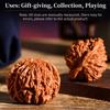 2Pcs Chinese Walnuts Fidget, 2026 New Chinese Wenwan Walnuts, Hand Training Massage Stress Relief Balls for Relaxation Focus & Gifts (B) view 3