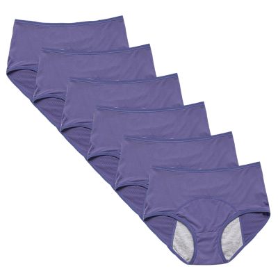 Plus Size Incontinence Underwear for Women Over 60 - Comfortable, Discreet Incontinence Panties for Daily Use (Blue Medium)
