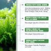 2 Pack Algae Omega 3-6-7-9 + DHA:1500MG & EPA:270MG from Algal Oil 4000mg,High Absorption with Vitamin C,E,Turmeric, Black Pepper & Selenium,Plant-Based,for Supports Heart, Brain & Immune Wellness view 3