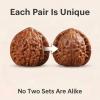 2026 New Wenwan Walnuts Fidget Set, 2PCS Chinese Exercise Walnuts with Gift Box & Brush, Traditional Hand Fidget Balls for Stress Relief, Relaxation, Desk & Valentines Day Gift(41 * 42mm) view 2