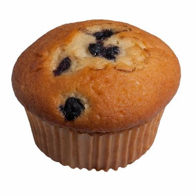 Gourmet Blueberry Muffins Individually Wrapped Pack Of 12