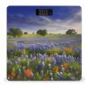 Texas Bluebonnets Scenery Weight Scale Large Bathroom Scales Digital Weight with Bright LED Display Non Slip Automatic Weighing Scale Fashion Weighing Machine for Body view 1