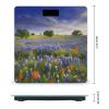 Texas Bluebonnets Scenery Weight Scale Large Bathroom Scales Digital Weight with Bright LED Display Non Slip Automatic Weighing Scale Fashion Weighing Machine for Body view 2