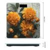 Marigold Weight Scale Large Bathroom Scales Digital Weight with Bright LED Display Non Slip Automatic Weighing Scale Fashion Weighing Machine for Body view 2