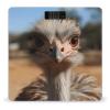 Cute Ostrich Weight Scale Large Bathroom Scales Digital Weight with Bright LED Display Non Slip Automatic Weighing Scale Fashion Weighing Machine for Body view 1