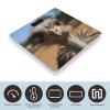 Cute Ostrich Weight Scale Large Bathroom Scales Digital Weight with Bright LED Display Non Slip Automatic Weighing Scale Fashion Weighing Machine for Body view 3