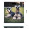 Adult Schnauzer Dogs Weight Scale Large Bathroom Scales Digital Weight with Bright LED Display Non Slip Automatic Weighing Scale Fashion Weighing Machine for Body view 2