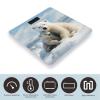 Cute Polar Bear Weight Scale Large Bathroom Scales Digital Weight with Bright LED Display Non Slip Automatic Weighing Scale Fashion Weighing Machine for Body view 3