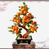 YXIANG56Q Fake Plants Tree Jade Bonsai for Office Desk Home Room Decor Feng Shui Wealth Bonsai Tree view 4
