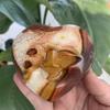 151g Polychrome Jasper Heart with Smiling Face | One-Sided Engraved Happy Face on Ocean Jasper | Nature Stone for Joy & Grounding | Handmade Positive Energy Gift & Pocket Stone view 1