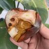 151g Polychrome Jasper Heart with Smiling Face | One-Sided Engraved Happy Face on Ocean Jasper | Nature Stone for Joy & Grounding | Handmade Positive Energy Gift & Pocket Stone view 3