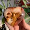 151g Polychrome Jasper Heart with Smiling Face | One-Sided Engraved Happy Face on Ocean Jasper | Nature Stone for Joy & Grounding | Handmade Positive Energy Gift & Pocket Stone view 4