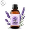 Pure Lavender Essential Oil for Diffuser and Aromatherapy, Steam Distilled Lavandula Angustifolia, Multi-Purpose Aromatic Oil for Skin, Home, and Sleep Environment, 10ml view 2