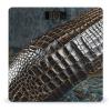 Alligator Skin Scale for Body Weight Digital Bathroom Scale Toughened Glass High Precision Scales for Body Weight with Large LCD Backlight Display Weight Scales view 1