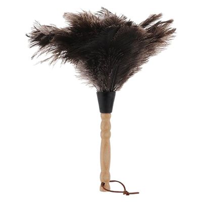 Anneome Long Handle Duster with Natural Ostrich Fibers, Gentle Dust Remover for Home and Car Interior Cleaning, Furniture Wiping Brush with Sturdy Wooden Handle, Single Pack