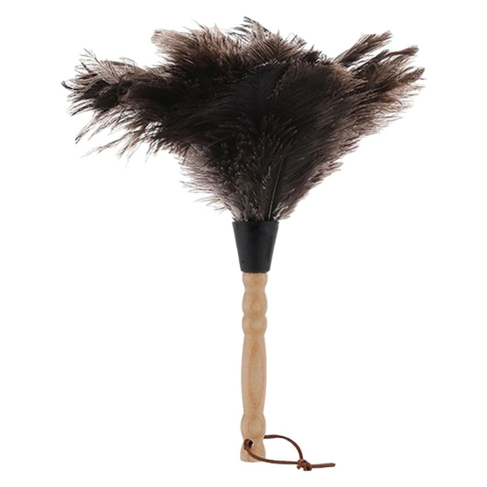 Anneome Long Handle Duster with Natural Ostrich Fibers, Gentle Dust Remover for Home and Car Interior Cleaning, Furniture Wiping Brush with Sturdy Wooden Handle, Single Pack
