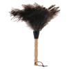 Anneome Long Handle Duster with Natural Ostrich Fibers, Gentle Dust Remover for Home and Car Interior Cleaning, Furniture Wiping Brush with Sturdy Wooden Handle, Single Pack view 1