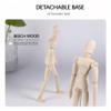ComfiCare Premium Beech Wood Artists Mannequin Jointed Human Figure Model for Sketching, Painting, and Elegant Home Office Dcor Posable Art Reference Tool with Detachable Base view 4